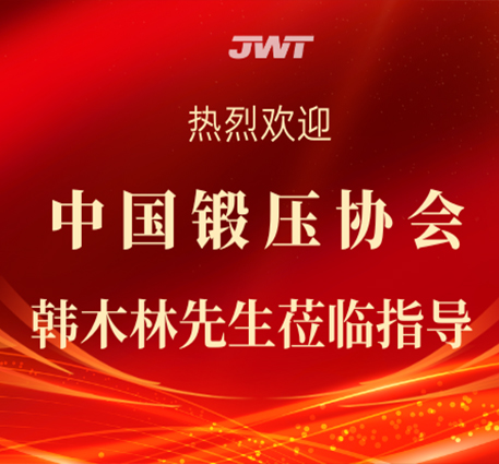 Il signor Han Mulin della China Forging Association visita e fornisce assistenza